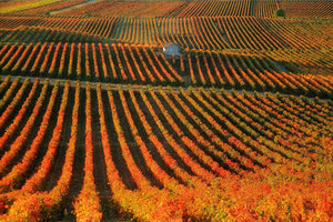 Ruta del vino Rioja Alta Ruta del vino Rioja Alta